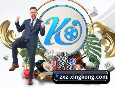 zxz-xingkong.com APP